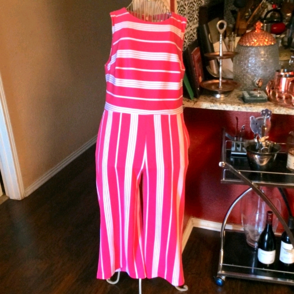 Striped New York & Company Jumpsuit 🌸
